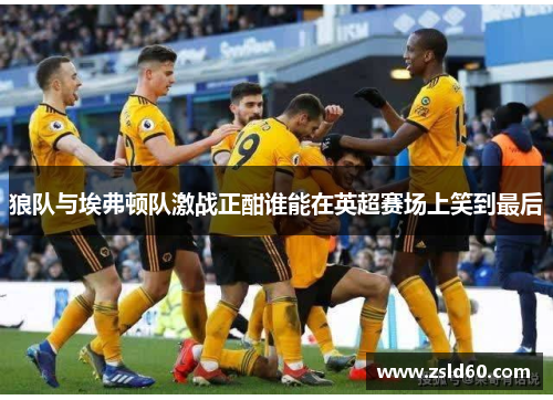 狼队与埃弗顿队激战正酣谁能在英超赛场上笑到最后